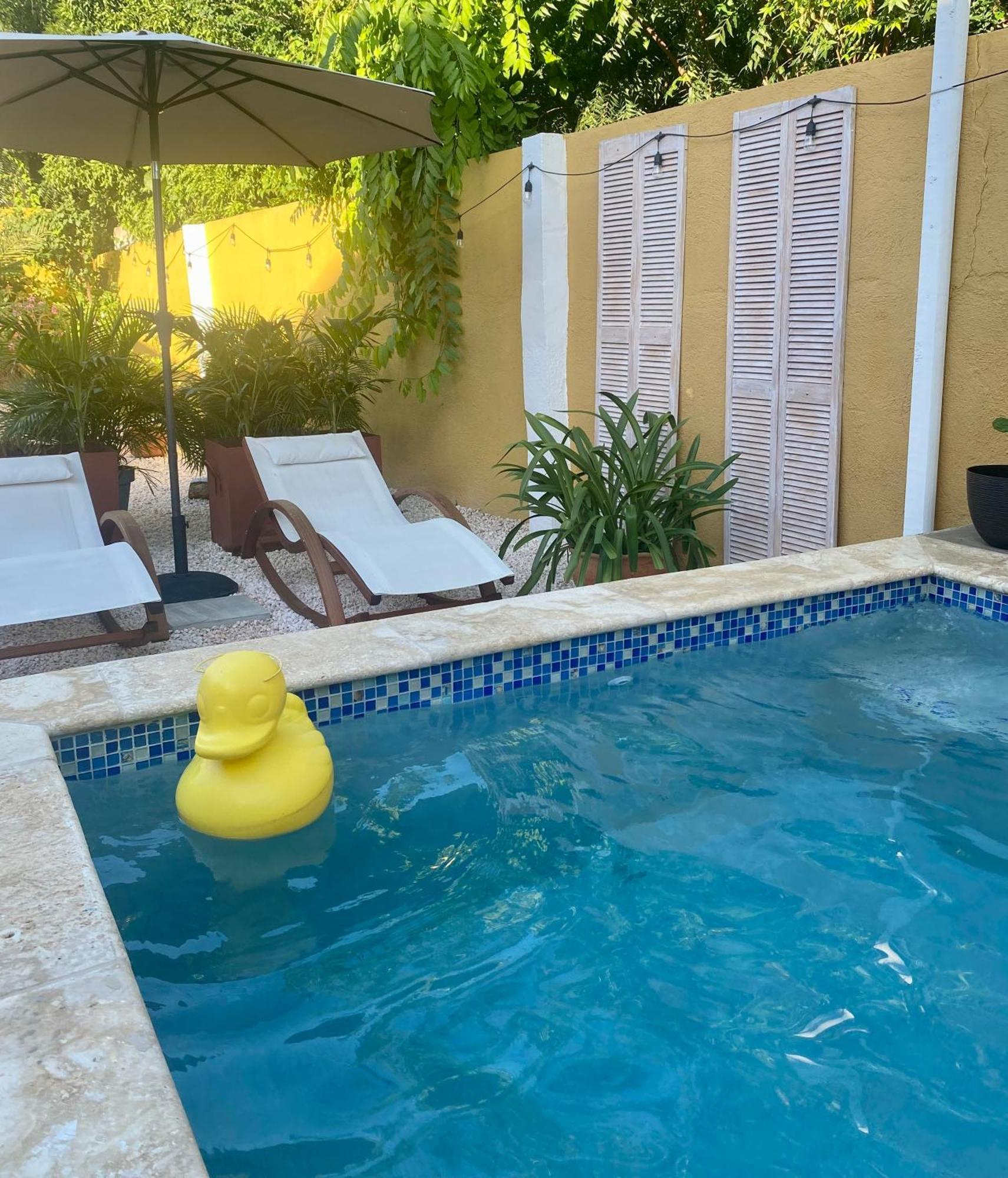 Historic Building The Palm Backyard Studio-Apartment Willemstad, Curacao Feel Home Away From Home 外观 照片